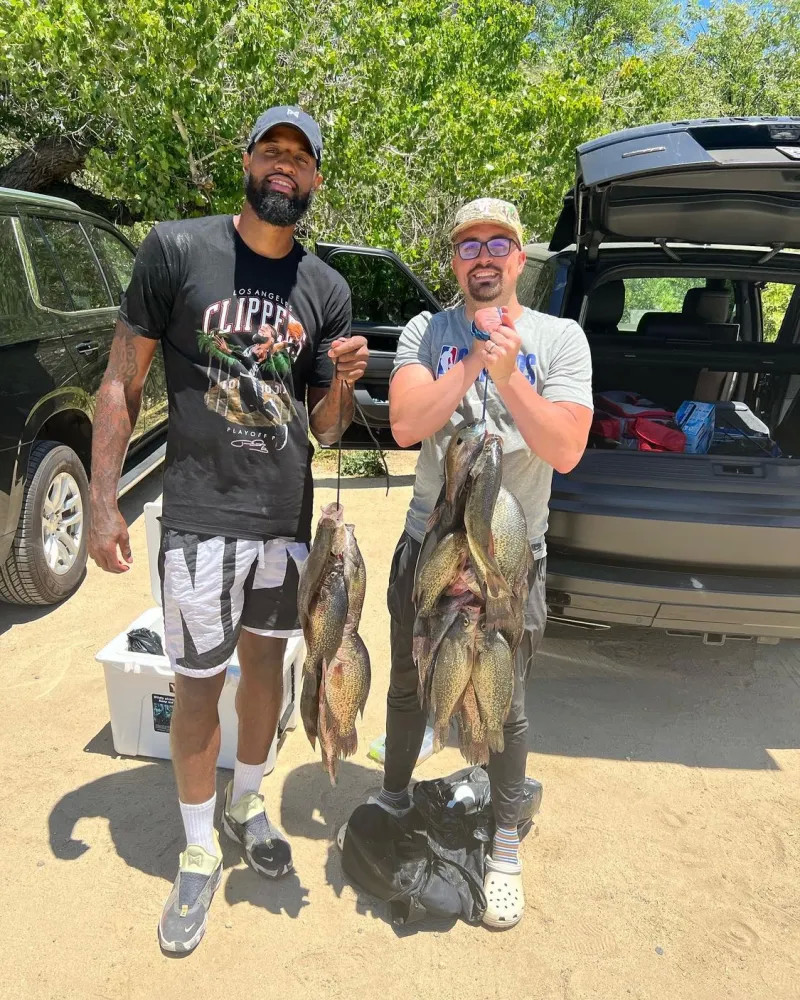 已无可挑剔 已无可挑剔